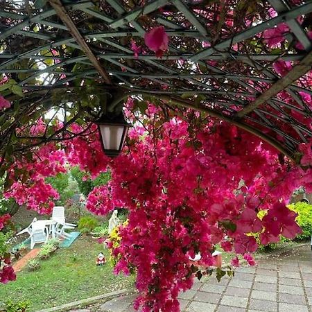 Casa Vacanze La Brii Iglesias Ngoại thất bức ảnh