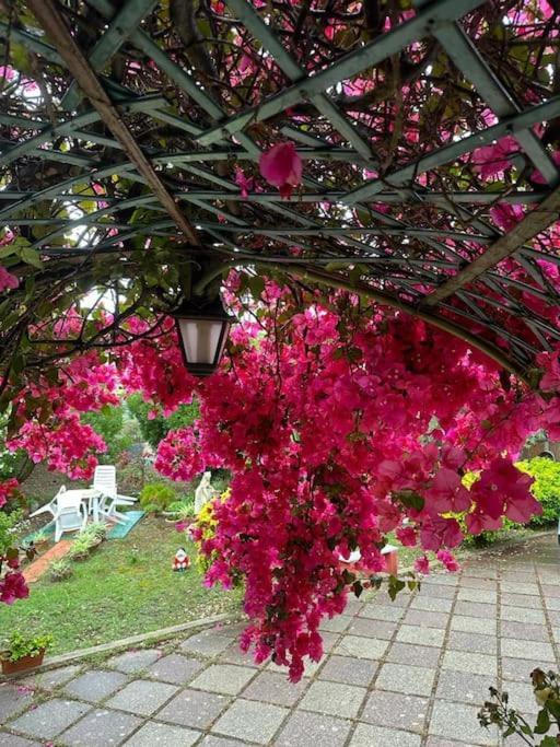 Casa Vacanze La Brii Iglesias Ngoại thất bức ảnh
