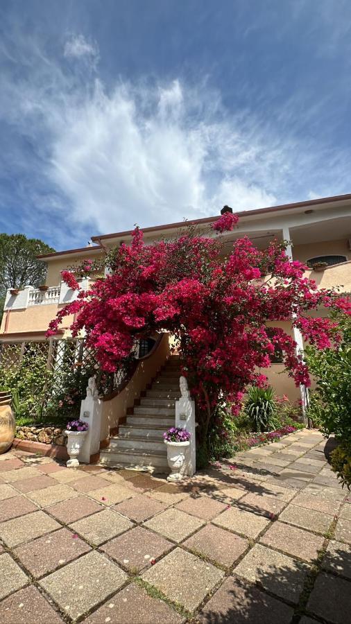 Casa Vacanze La Brii Iglesias Ngoại thất bức ảnh
